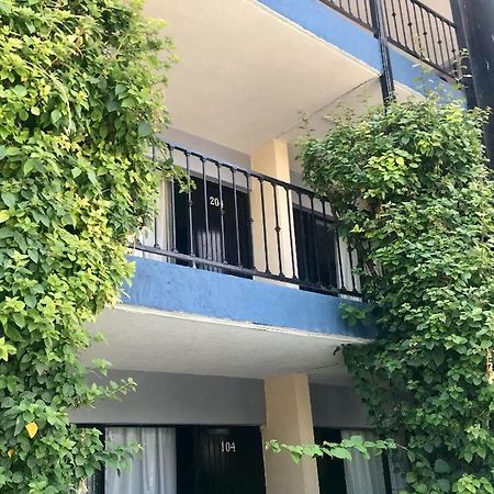 Hotel Nuevo Vallarta Zapopan Eksteriør billede